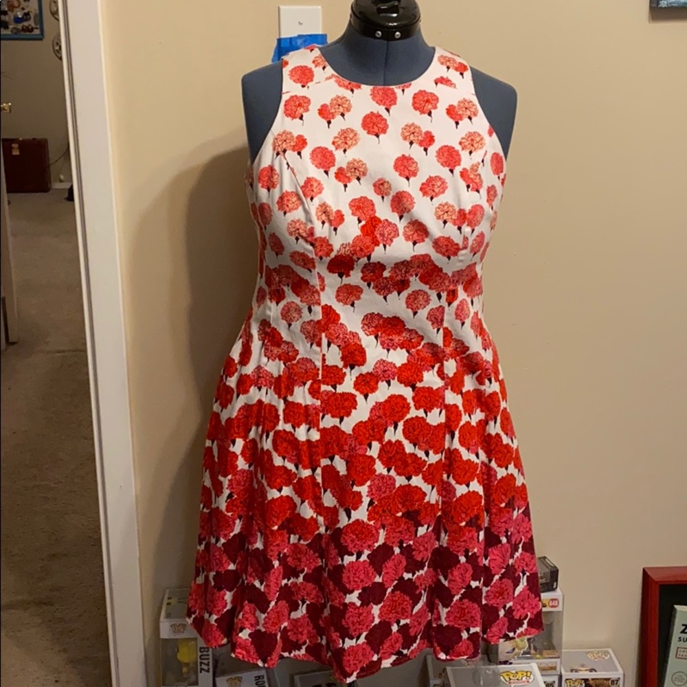 Carnation Garden Dress